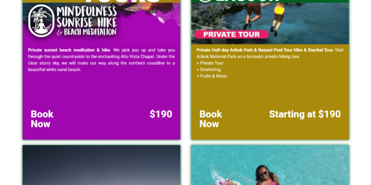 Thriving Local Tour Company in Aruba for Sale