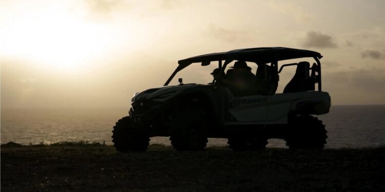 Explore Aruba Through a Cinematic Lens with Aruba Cine Tours
