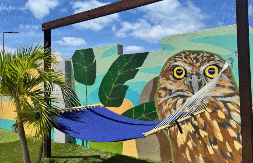 Unwind in Comfort: Hammock Bliss at TRYP by Wyndham Aruba