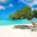 Explore Paradise: Eagle Beach and Eco-Tourism in Aruba