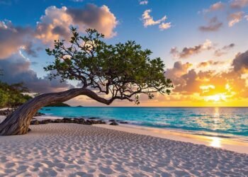 Why Aruba Is the Caribbean’s Most Unique Paradise (And It’s Not Just the Beaches)