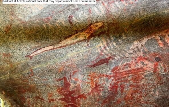 Episode CCCVI-306: Manatee Bones in Aruba’s Prehistoric Culture