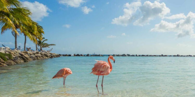 Frontier Airlines Launches New Affordable Route to Aruba with Fares Starting at $109