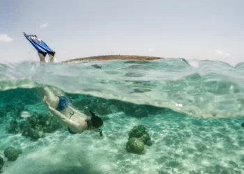 The Young Person’s Guide to Aruba: Where to Stay, Eat, and What to Do