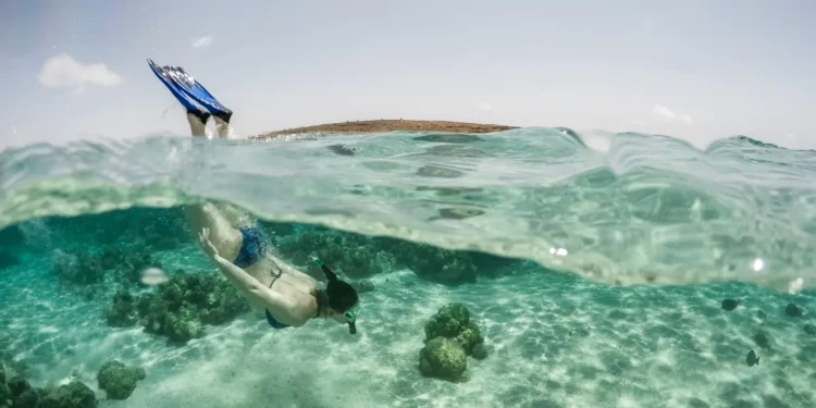 The Young Person’s Guide to Aruba: Where to Stay, Eat, and What to Do
