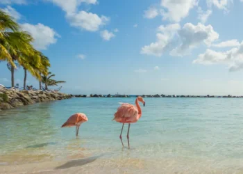 Frontier Airlines Launches Budget-Friendly Flights to Aruba from Atlanta—Intro Fares Start at $109