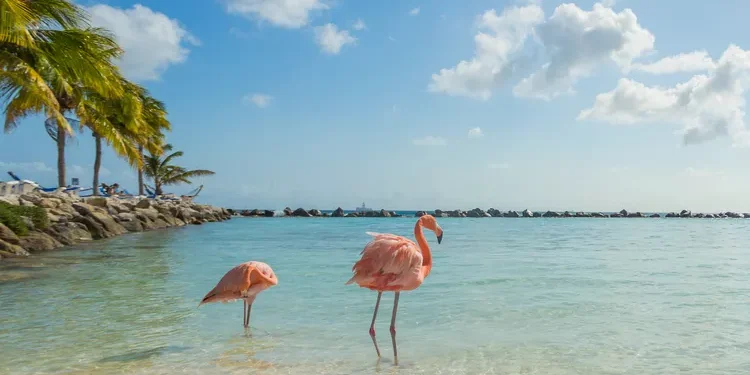 Frontier Airlines Launches Budget-Friendly Flights to Aruba from Atlanta—Intro Fares Start at $109