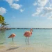 Frontier Airlines Launches Budget-Friendly Flights to Aruba from Atlanta—Intro Fares Start at $109
