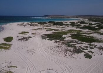 Aruba’s Airport Introduces New “Passenger Flow Control” System for U.S.-Bound Travelers