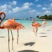 Hot Deal Alert: Fly from Vancouver to Aruba for Only $295