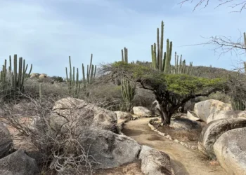 Discover the Mystical Ayo Rock Formations in the Heart of Aruba