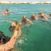 Dutch and US Marines Join Forces for Tactical Dive Training in Aruba
