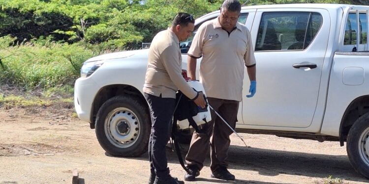 Fighting Mosquitoes Requires Community Cooperation, Says GKMB Director