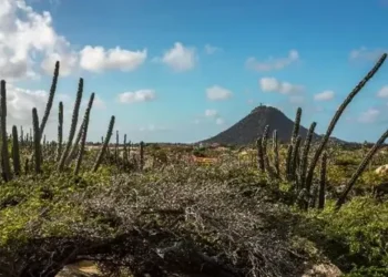 Top Outdoor Activities To Do in Aruba