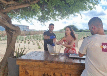 Aruba Captivates Brazilian Viewers on Mais Você, Strengthening Its Appeal as a Dream Destination