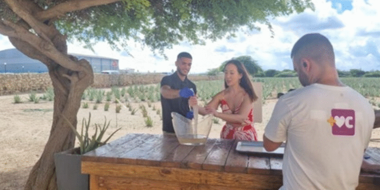Aruba Captivates Brazilian Viewers on Mais Você, Strengthening Its Appeal as a Dream Destination