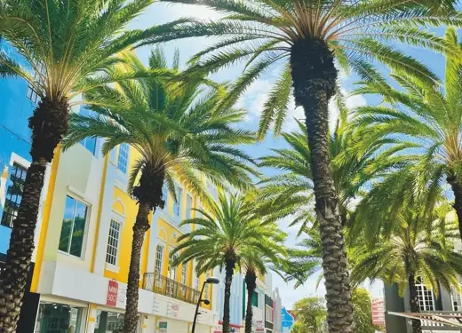 8 Fun Facts About Aruba