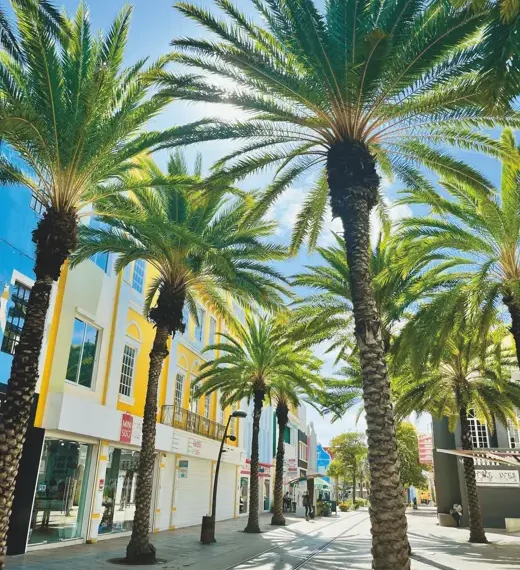 8 Fun Facts About Aruba