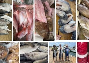 Weekend Fishing Specials at Campeon Self Service