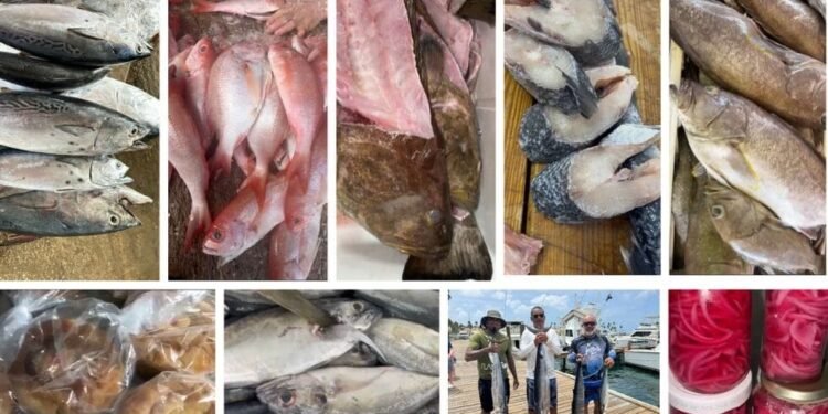 Weekend Fishing Specials at Campeon Self Service