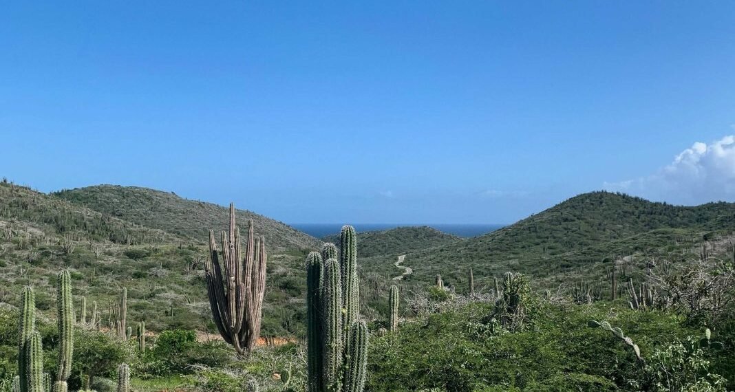 Ready for a Refreshing Start? Join ACF’s Next Rough Hike