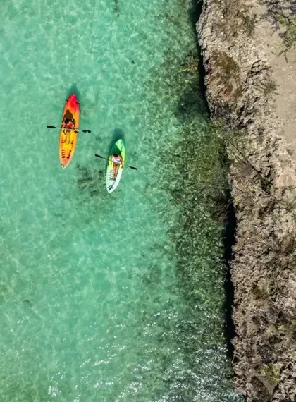 Dive Into Paradise: The Ultimate Aruba Water Adventure Guide