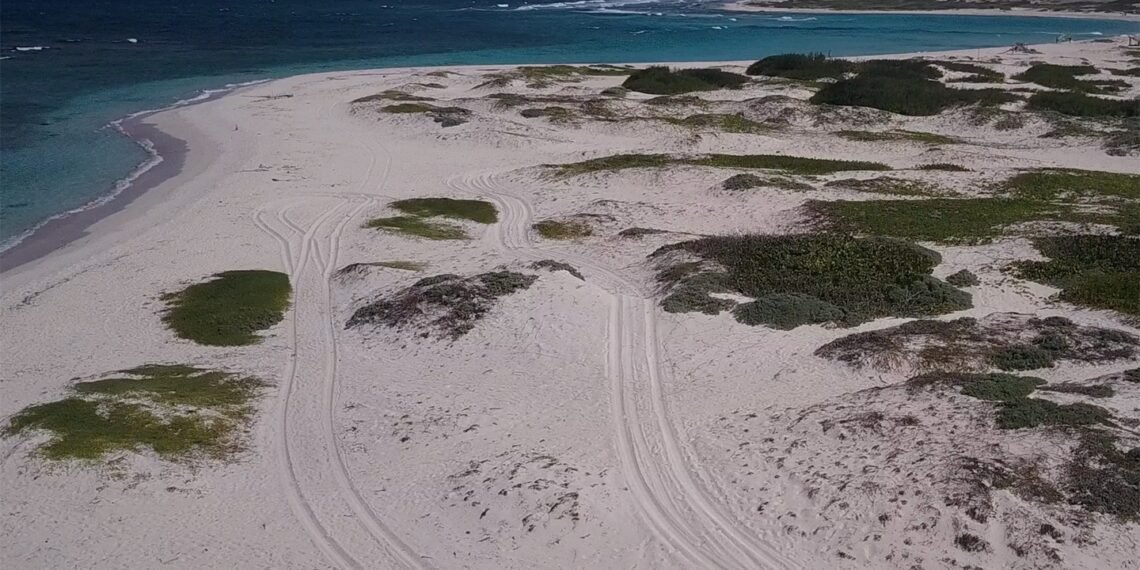 Why Boca Grandi Is the Aruba Beach You Didn’t Know You Needed