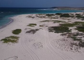 Why Boca Grandi Is the Aruba Beach You Didn’t Know You Needed