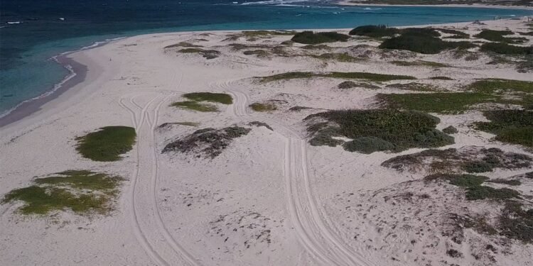 Why Boca Grandi Is the Aruba Beach You Didn’t Know You Needed