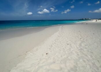 James Fazio Returns as Interim CEO of Aruba’s Queen Beatrix International Airport