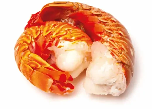 Tasty Tales: The Caribbean Spiny Lobster’s Journey from Sea to Plate