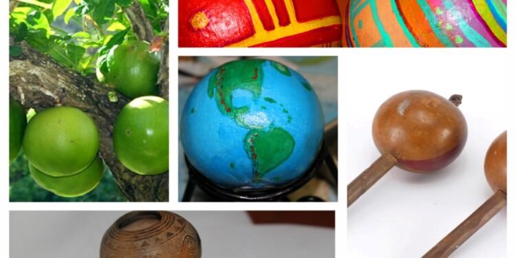 Episode CCCIX -309: The Sacred Gourd: From Myth to Totuma and Maraca