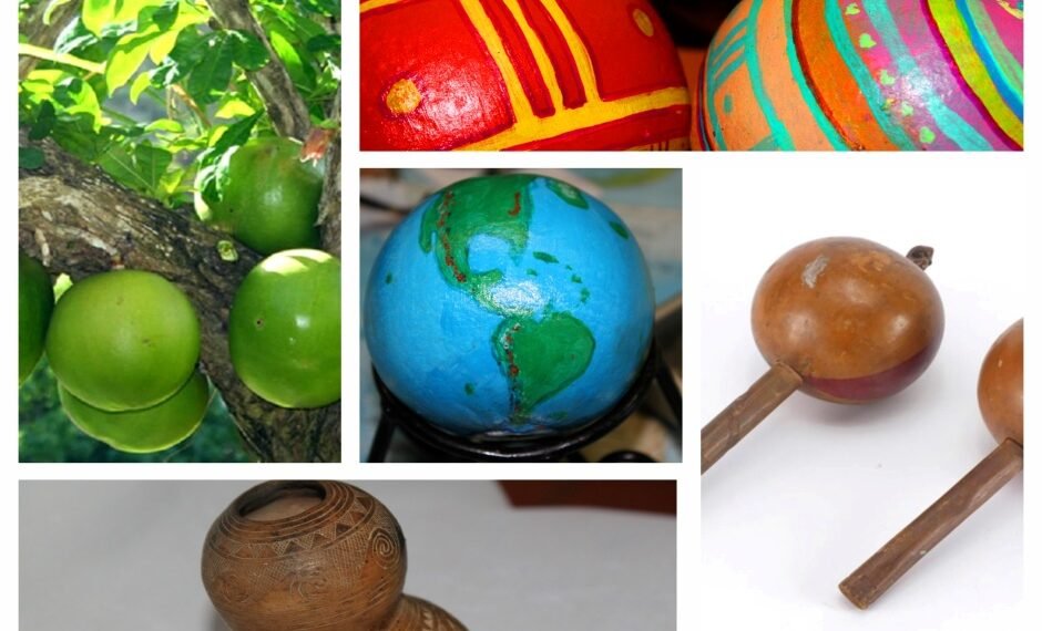 Episode CCCIX -309: The Sacred Gourd: From Myth to Totuma and Maraca