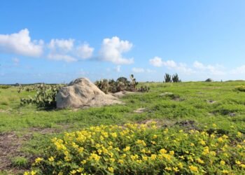 8 Nature Attractions You Must Visit in Aruba