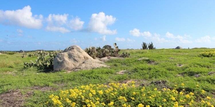 8 Nature Attractions You Must Visit in Aruba