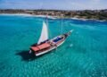 Set Sail for Adventure: Discover the Best Sailing Tours in Aruba