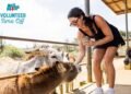 Aruba Launches First-Ever Voluntourism Campaign to Turn VTO into Purposeful Travel