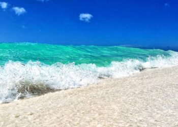 3 Must-Visit Beaches in Aruba: Eagle Beach, Boca Catalina & Mangel Halto