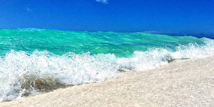 3 Must-Visit Beaches in Aruba: Eagle Beach, Boca Catalina & Mangel Halto