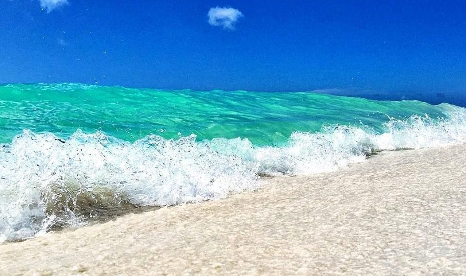 3 Must-Visit Beaches in Aruba: Eagle Beach, Boca Catalina & Mangel Halto