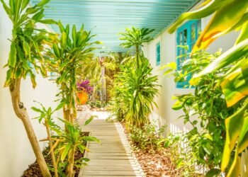 Charming & Budget-Friendly Small Resorts in Aruba – Part 1