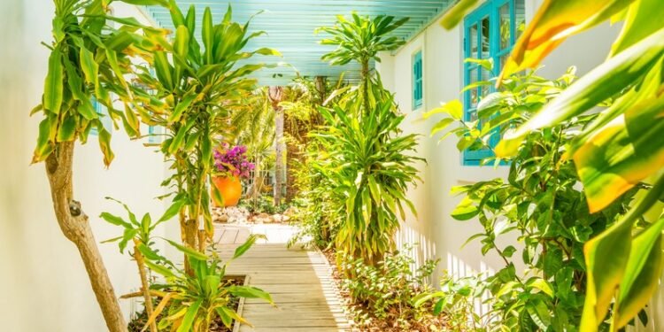 Charming & Budget-Friendly Small Resorts in Aruba – Part 1