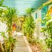 Charming & Budget-Friendly Small Resorts in Aruba – Part 1