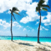 Top 15 Instagram-Worthy Spots in Aruba You Can’t Miss in 2025