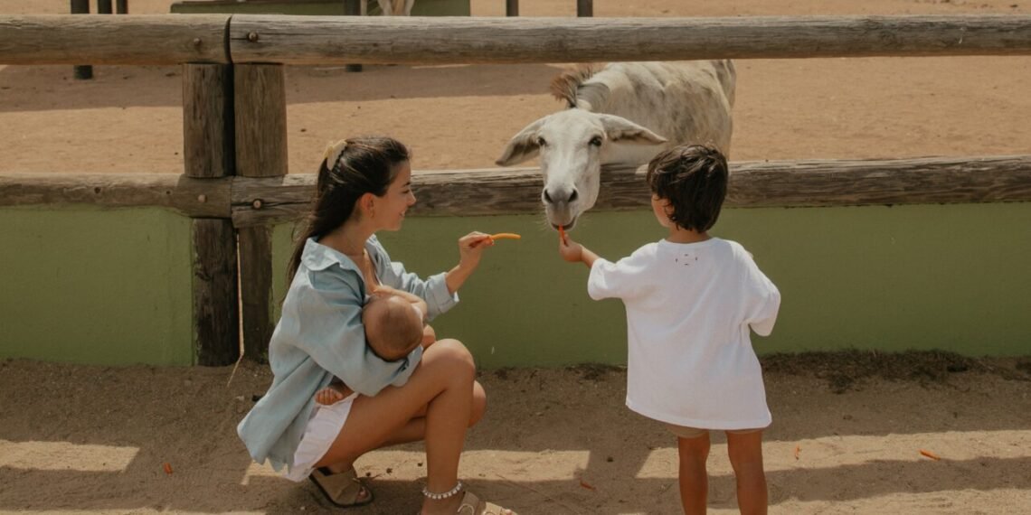 Little Feet, Slow Days: Exploring Aruba with Our Kids