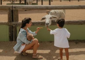 Little Feet, Slow Days: Exploring Aruba with Our Kids