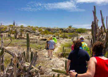 Off-Road Adventure in Aruba: Discover Secret Spots with Fofoti Tours