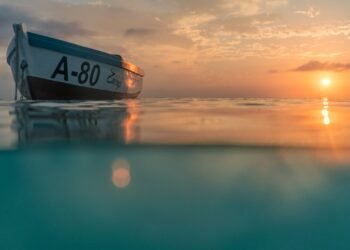 Our Top 4 Island Experiences in Aruba