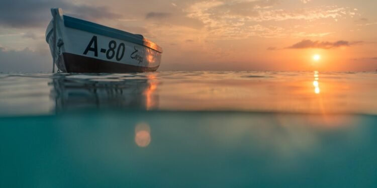 Our Top 4 Island Experiences in Aruba