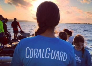 Aruba’s ScubbleBubbles Foundation: The Student Divers Rescuing Coral Reefs